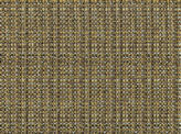 Covington Jackie-o Backed 671 TIGERS EYE Fabric